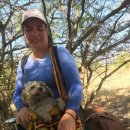 도시 강아지 이미지