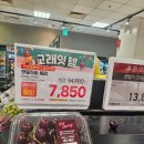 이마트 고래잇 페스타 이마트용산점 내돈내산 장보기 영수증 첨부 6월 8일까지