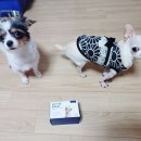 (주)오엔케이 이미지