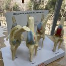 24시청담우리동물병원 이미지