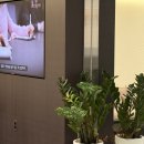 특허법인선정