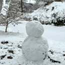 시골한우마트 | 겨울 촌캉스 추천｜영양 독채 숙소ㅣ눈 내리는 '일월산한우네' 솔직 후기