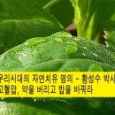 마리샵 이미지