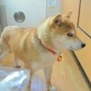 이슬목장 이미지