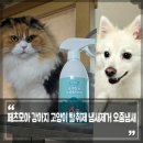 요술강아지 | 강아지 고양이 탈취제 추천, 고양이 냄새제거 화장실 강아지 소변냄새 페츠모아 요술탈취제