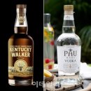 와이제이코리아 이미지