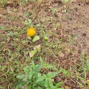 구평동-14 이미지