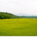 박사농장 이미지