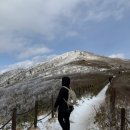 15도 | 덕유산 눈꽃산행 알레버스 이용 후기 영하 15도 칼바람 속 상고대 직관