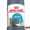 로얄상사 이미지