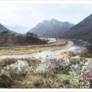 구담마을 이미지