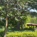 레포밸리 이미지
