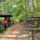 어르신쉼터(온양온천역 방문객센터) | [강원 홍천 가볼만한곳] 8월 연꽃과 시원한 계곡길! 홍천 수타사 &amp; 산소길