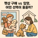 더나은펫샵 이미지