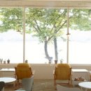 나나애견 이미지