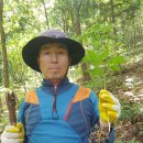 보물섬황칠