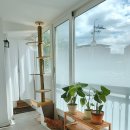 경일아파트 이미지