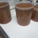 클레오브라인슈림프 이미지