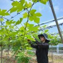 익스퍼랩(EXPER LAB) | 이동우 소개서