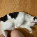 멍플랙스 이미지