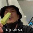 한국 온 일본인이 먹고 눈물 흘린 아이스크림.jpg 이미지