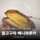 무심농장 | 꿀고구마 끝판왕 I 꿀맛농장 베니하루카로 에어프라이어 군고구마 꿀 뚝뚝 흘리게 굽는 법