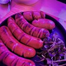 말자싸롱한대역점