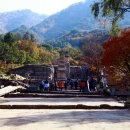 중원-96 Daum카페