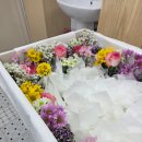 예도라이프상조