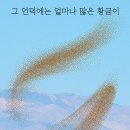 황금P.C 이미지