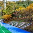 옻골다목적구장 이미지