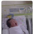 더드림산부인과의원 | 중구 더드림 산후조리원 내돈내산 후기 (진오비산부인과 출산)