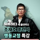 천안애견미용학원