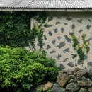 대정읍-1 이미지