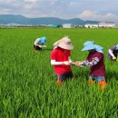 기장군농업기술센타 이미지
