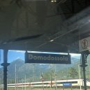 771005 | [이탈리아 ➡️ 스위스]셀린느 트리옹프 벨트 밀라노에서 구입하고 도모도솔라역에서 텍스리펀 하기