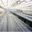 순박1농장 이미지