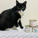 27200-라-45 | 독일 수의사가 만든 고양이습식사료! 닥터링크 퓨어 센서티브