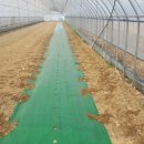 윤희농장 이미지