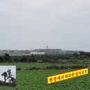 고성리-8 Daum카페