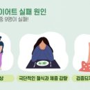 볼리즘 이미지