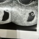 사하구보건소 | [👶🏻4-6주차]명지웰하이여성아동병원, 입덧약 복용, 사하구보건소 산전검사, 제누검사 후기