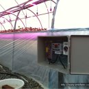 보광농장 이미지