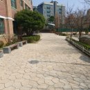 서울송정초등학교 이미지