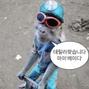 궁노래존 | 청담 라이언 클럽 후기 여자 후기