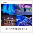 시민꽃화원 자판기 | 경주 제2동궁원 라원 솔직후기｜4월 할인 가격 꿀팁 + 아이랑 가볼만한곳