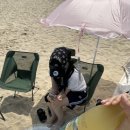 피치비치 이미지