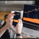 (유)우리들파트너스 | 옵티마파트너스 다양한 리서치 자료로 비교하기 좋았던 정보 서비스 후기