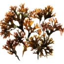 두드림한의원 이미지