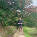 한국전통문화대학교 국가유산전문대학원 이미지